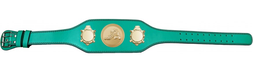 JIU JITSU CHAMPIONSHIP BELT-BUD003/G/JJG-4 COLOURS